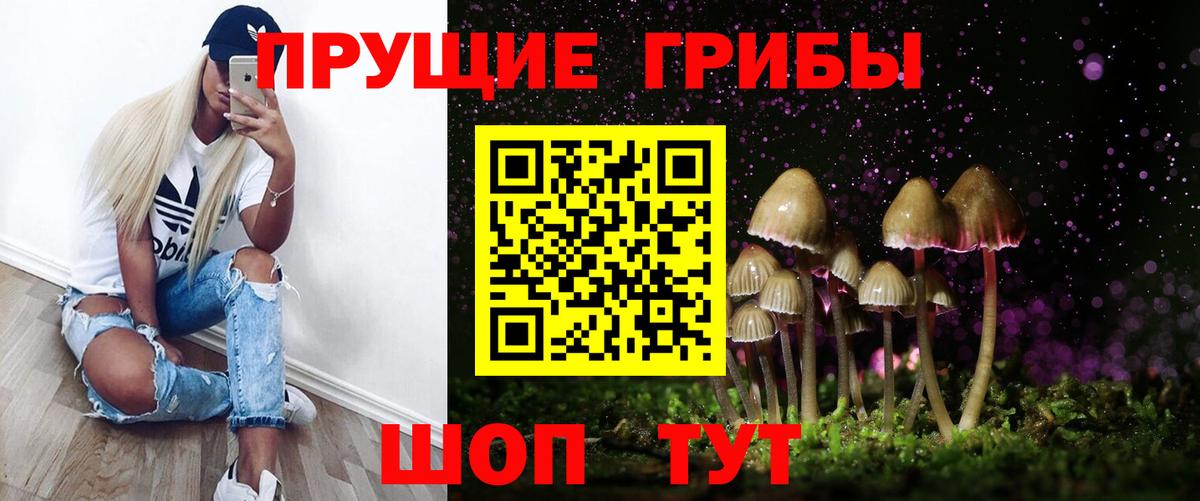 Камышлов  Галлюциногенные грибы Psilocybe  Вход с VPN 